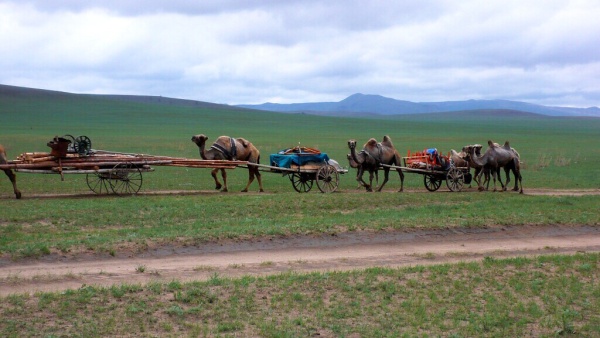 Mongolsko – Tajgou